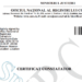 Cum Obții un Certificat Constatator Online – Ghid Pas cu Pas