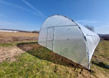 Din dorință de simplitate la grădinărit de calitate – povestea unei familii care a descoperit avantajele unui solar de grădină complet echipat