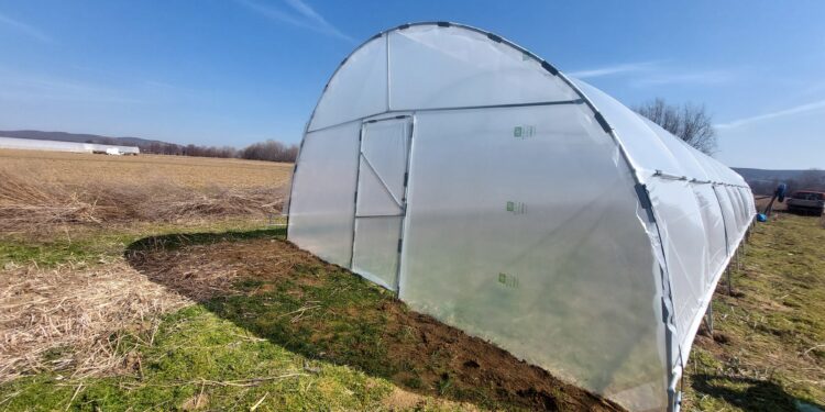 Din dorință de simplitate la grădinărit de calitate – povestea unei familii care a descoperit avantajele unui solar de grădină complet echipat